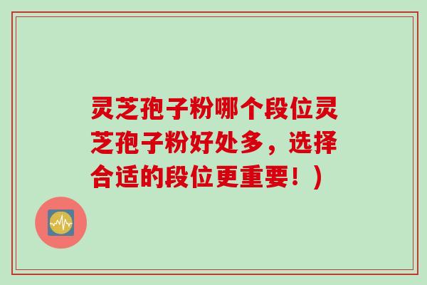 灵芝孢子粉哪个段位灵芝孢子粉好处多,选择合适的段位更重要!)
