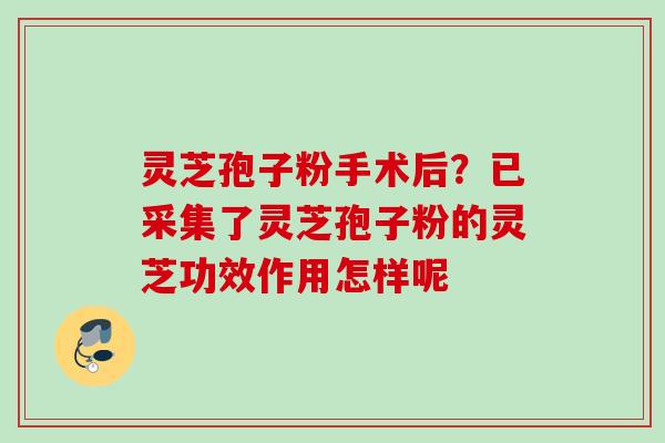灵芝孢子粉手术后？已采集了灵芝孢子粉的灵芝功效作用怎样呢