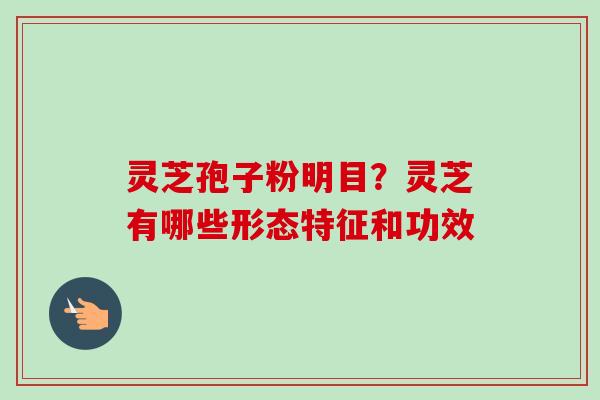 灵芝孢子粉明目？灵芝有哪些形态特征和功效