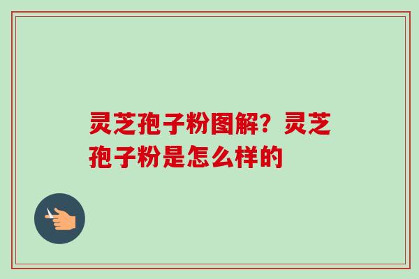 灵芝孢子粉图解?灵芝孢子粉是怎么样的 灵芝孢子粉图解?灵芝孢子粉是怎么样的