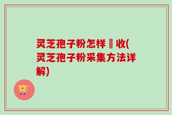 灵芝孢子粉怎样釆收(灵芝孢子粉采集方法详解)