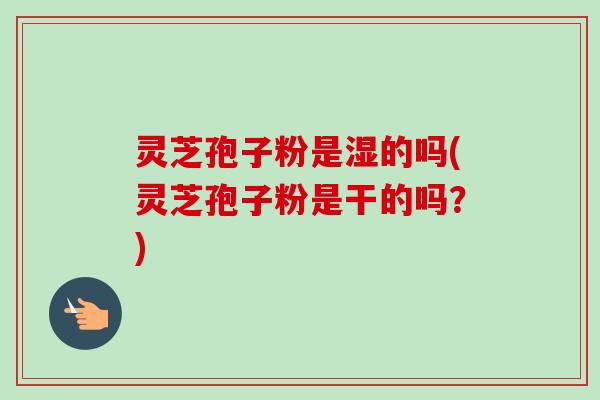灵芝孢子粉是湿的吗(灵芝孢子粉是干的吗？)