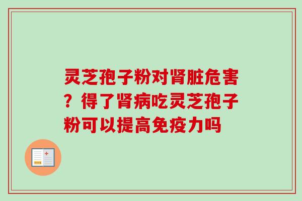 灵芝孢子粉对肾脏危害？得了肾病吃灵芝孢子粉可以提高免疫力吗