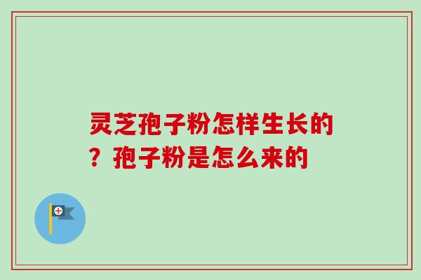 灵芝孢子粉怎样生长的？孢子粉是怎么来的