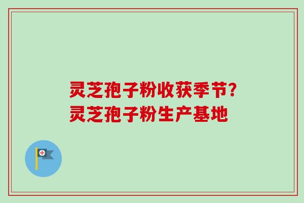 灵芝孢子粉收获季节？灵芝孢子粉生产基地