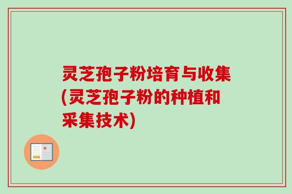 灵芝孢子粉培育与收集(灵芝孢子粉的种植和采集技术)