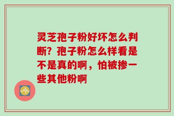 灵芝孢子粉好坏怎么判断?孢子粉怎么样看是不是真的啊,怕被掺一些其他粉啊