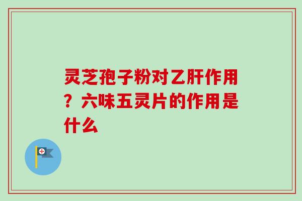灵芝孢子粉对乙肝作用?六味五灵片的作用是什么