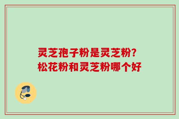 灵芝孢子粉是灵芝粉？松花粉和灵芝粉哪个好