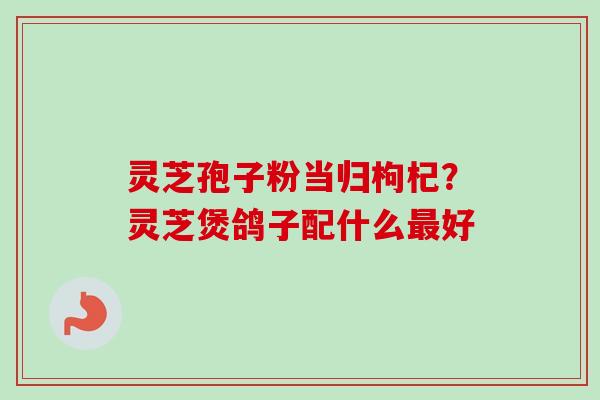 灵芝孢子粉当归枸杞?灵芝煲鸽子配什么最好