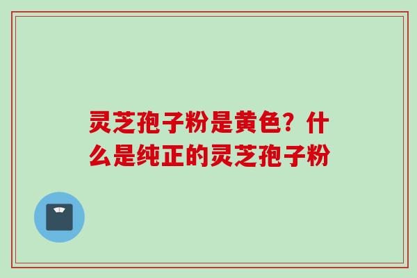 灵芝孢子粉是黄色？什么是纯正的灵芝孢子粉