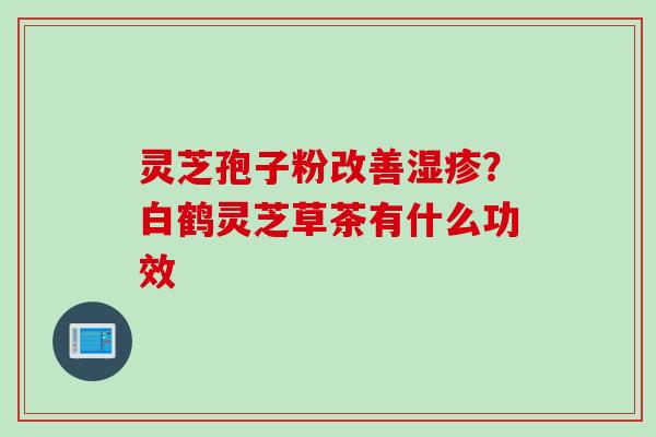 灵芝孢子粉改善湿疹？白鹤灵芝草茶有什么功效