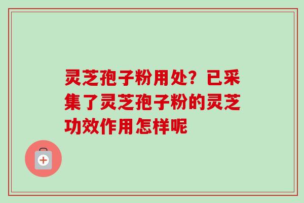 灵芝孢子粉用处？已采集了灵芝孢子粉的灵芝功效作用怎样呢
