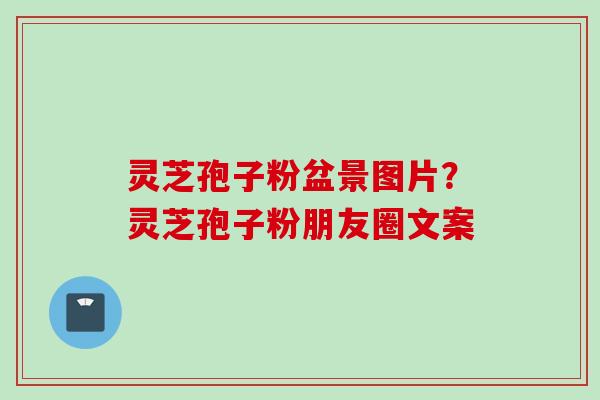 灵芝孢子粉盆景图片?灵芝孢子粉朋友圈文案