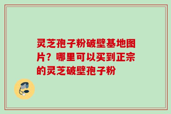 灵芝孢子粉破壁基地图片？哪里可以买到正宗的灵芝破壁孢子粉
