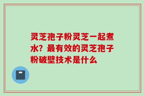 灵芝孢子粉灵芝一起煮水?最有效的灵芝孢子粉破壁技术是什么