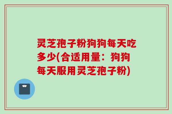 灵芝孢子粉狗狗每天吃多少(合适用量:狗狗每天服用灵芝孢子粉)