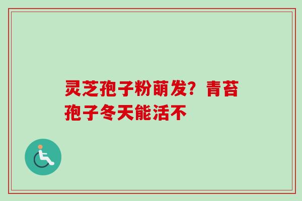 灵芝孢子粉萌发?青苔孢子冬天能活不