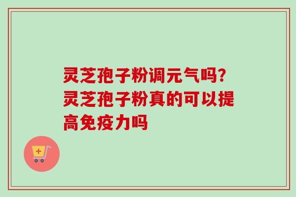 灵芝孢子粉调元气吗?灵芝孢子粉真的可以提高免疫力吗