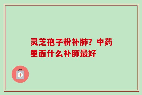 灵芝孢子粉补肺？中药里面什么补肺最好