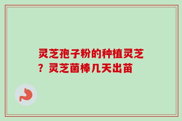 灵芝孢子粉的种植灵芝？灵芝菌棒几天出苗