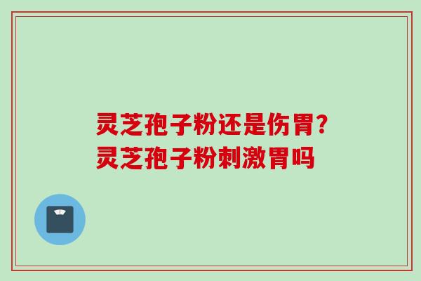 灵芝孢子粉还是伤胃?灵芝孢子粉刺激胃吗