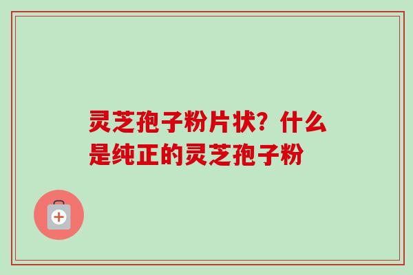 灵芝孢子粉片状?什么是纯正的灵芝孢子粉