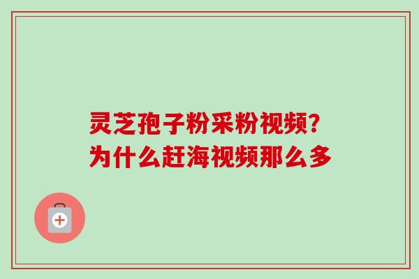 灵芝孢子粉采粉视频？为什么赶海视频那么多