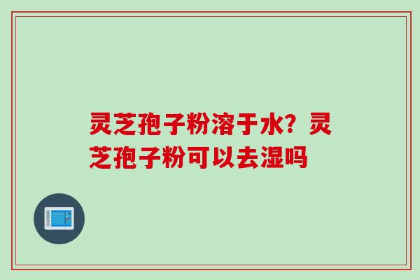灵芝孢子粉溶于水?灵芝孢子粉可以去湿吗