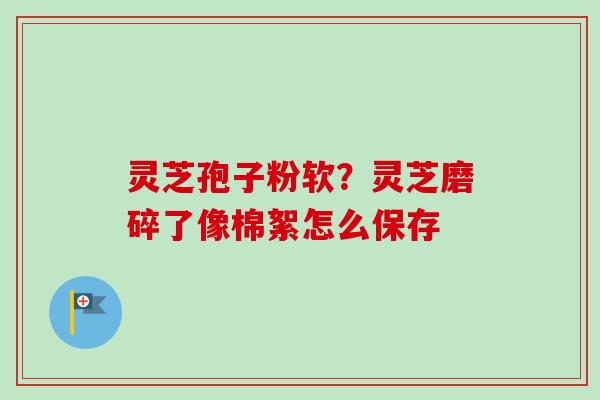 灵芝孢子粉软？灵芝磨碎了像棉絮怎么保存