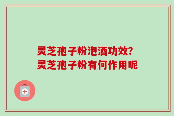 灵芝孢子粉泡酒功效？灵芝孢子粉有何作用呢