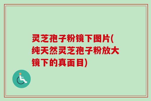 灵芝孢子粉镜下图片(纯天然灵芝孢子粉放大镜下的真面目)