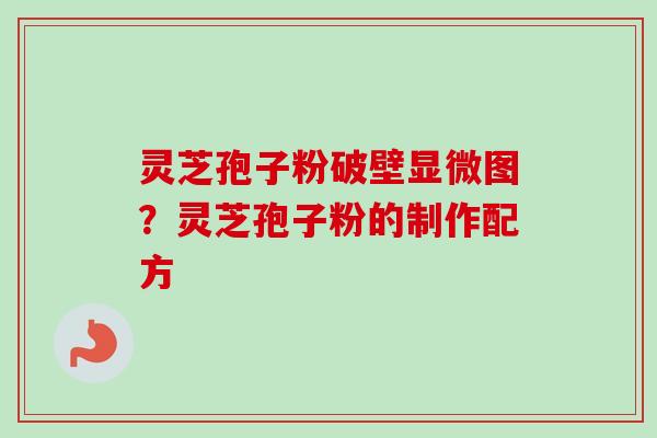 灵芝孢子粉破壁显微图？灵芝孢子粉的制作配方