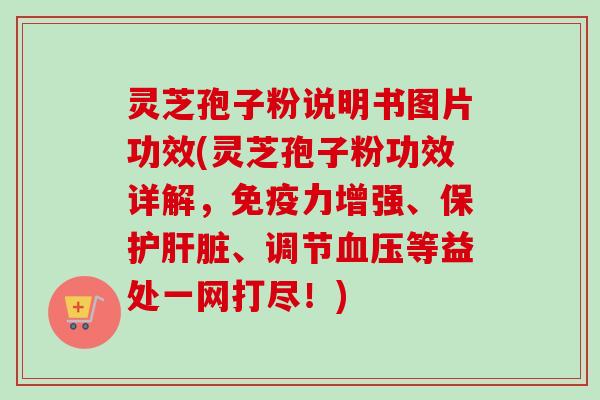 灵芝孢子粉说明书图片功效(灵芝孢子粉功效详解,免疫力增强、保护肝脏、调节血压等益处一网打尽!)