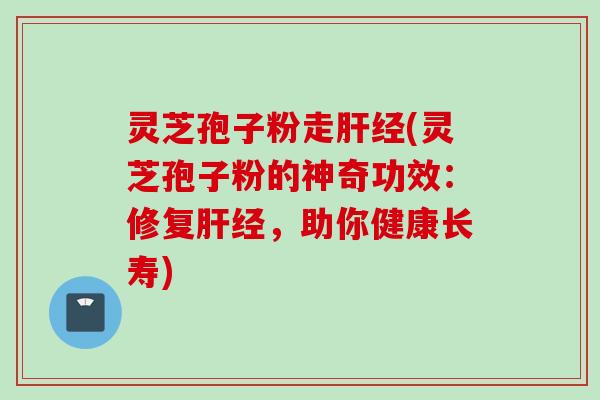 灵芝孢子粉走肝经(灵芝孢子粉的神奇功效:修复肝经,助你健康长寿)