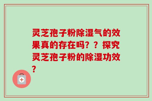 灵芝孢子粉除湿气的效果真的存在吗??探究灵芝孢子粉的除湿功效?