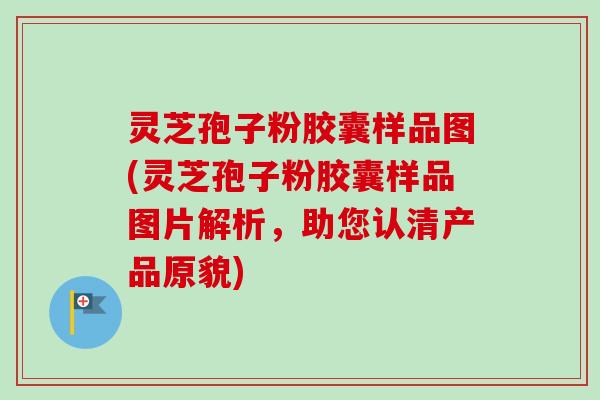 灵芝孢子粉胶囊样品图(灵芝孢子粉胶囊样品图片解析，助您认清产品原貌)