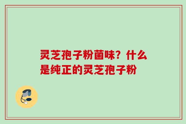 灵芝孢子粉菌味？什么是纯正的灵芝孢子粉