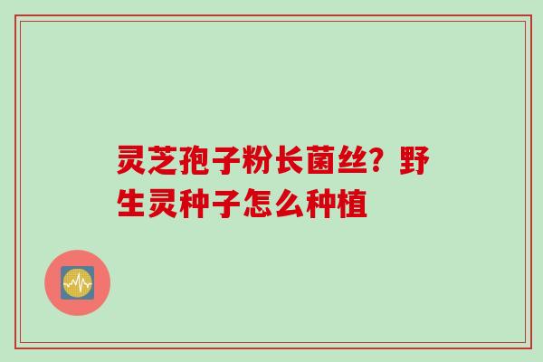 灵芝孢子粉长菌丝?野生灵种子怎么种植 灵芝孢子粉长菌丝?野生灵种子怎么种植