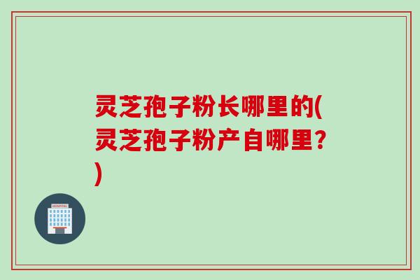 灵芝孢子粉长哪里的(灵芝孢子粉产自哪里？)