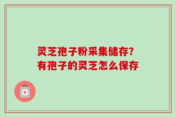 灵芝孢子粉采集储存？有孢子的灵芝怎么保存