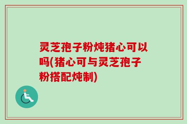 灵芝孢子粉炖猪心可以吗(猪心可与灵芝孢子粉搭配炖制)