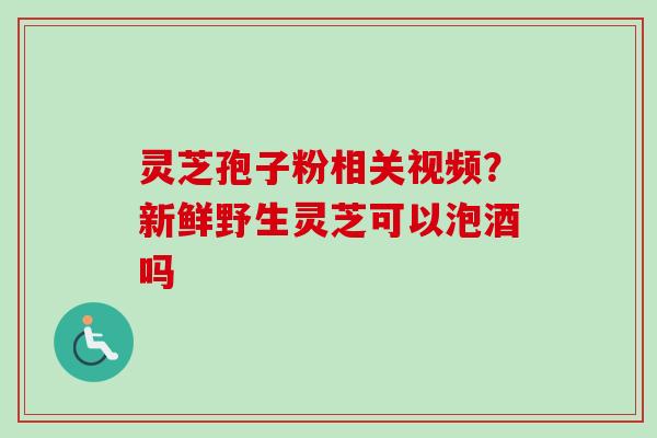灵芝孢子粉相关视频?新鲜野生灵芝可以泡酒吗