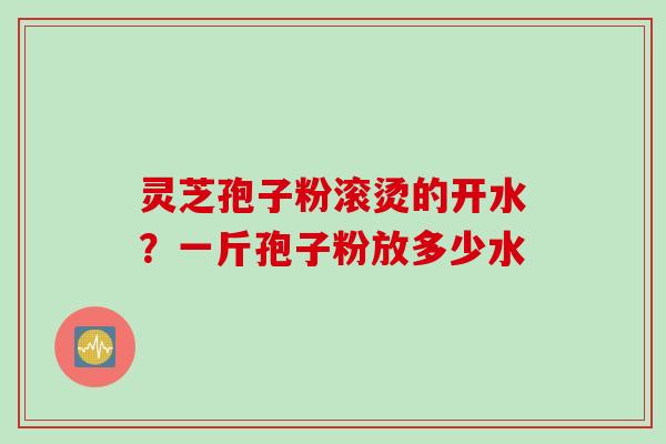 灵芝孢子粉滚烫的开水?一斤孢子粉放多少水