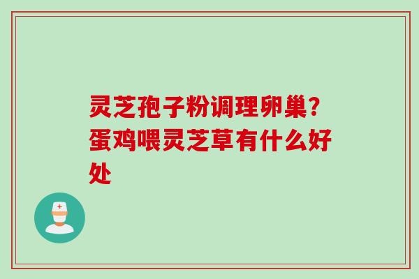 灵芝孢子粉调理卵巢？蛋鸡喂灵芝草有什么好处