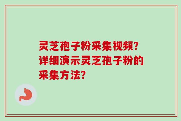 灵芝孢子粉采集视频?详细演示灵芝孢子粉的采集方法?
