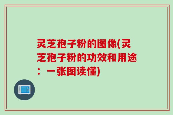 灵芝孢子粉的图像(灵芝孢子粉的功效和用途：一张图读懂)