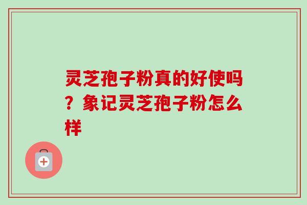 灵芝孢子粉真的好使吗?象记灵芝孢子粉怎么样