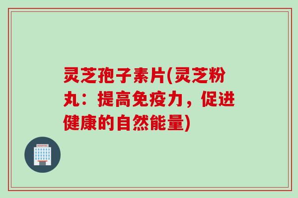 灵芝孢子素片(灵芝粉丸：提高免疫力，促进健康的自然能量)