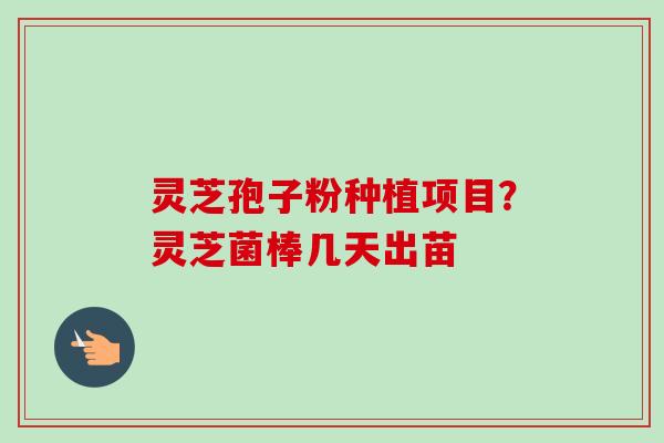 灵芝孢子粉种植项目？灵芝菌棒几天出苗